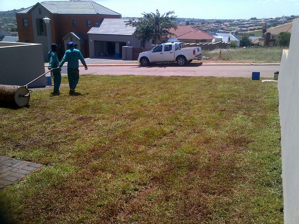 Blue Star Facilities Maintenance Project 2