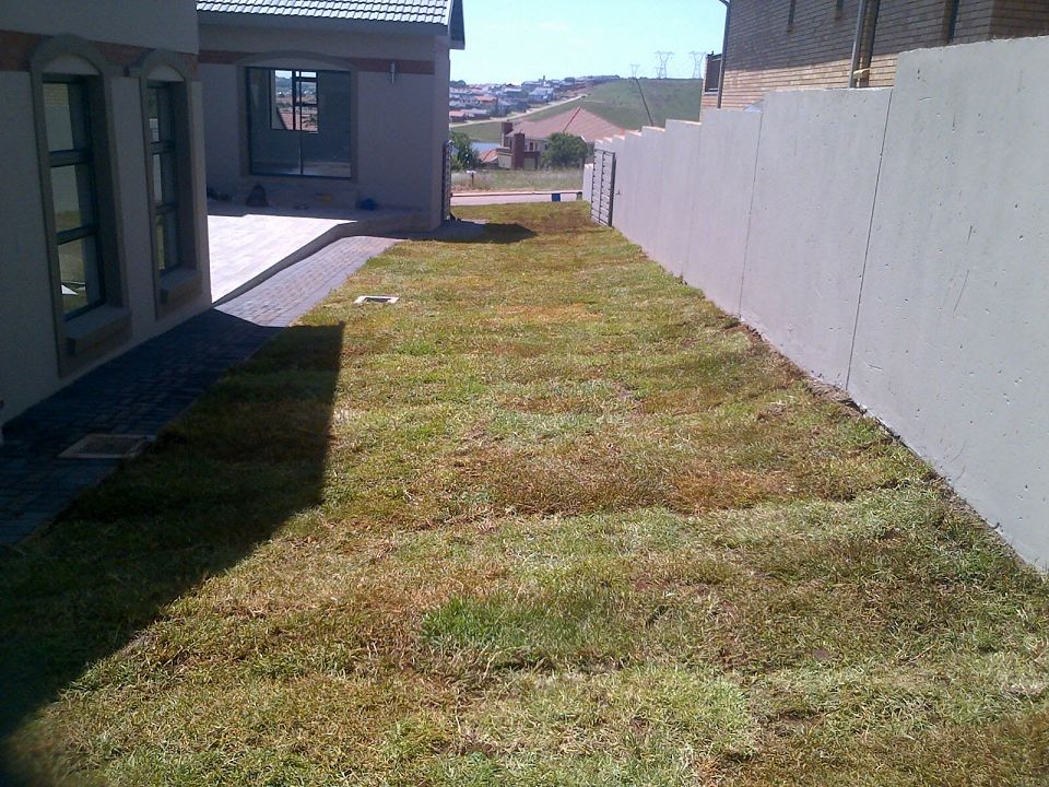 Blue Star Facilities Maintenance Project 4